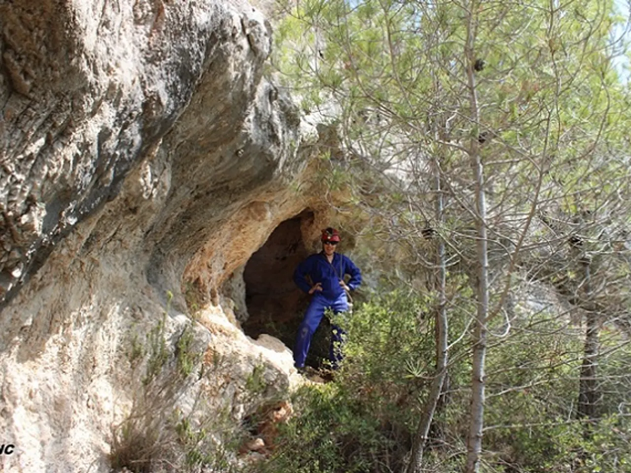 Photograph of JONCAR, COVA SUPERIOR DEL