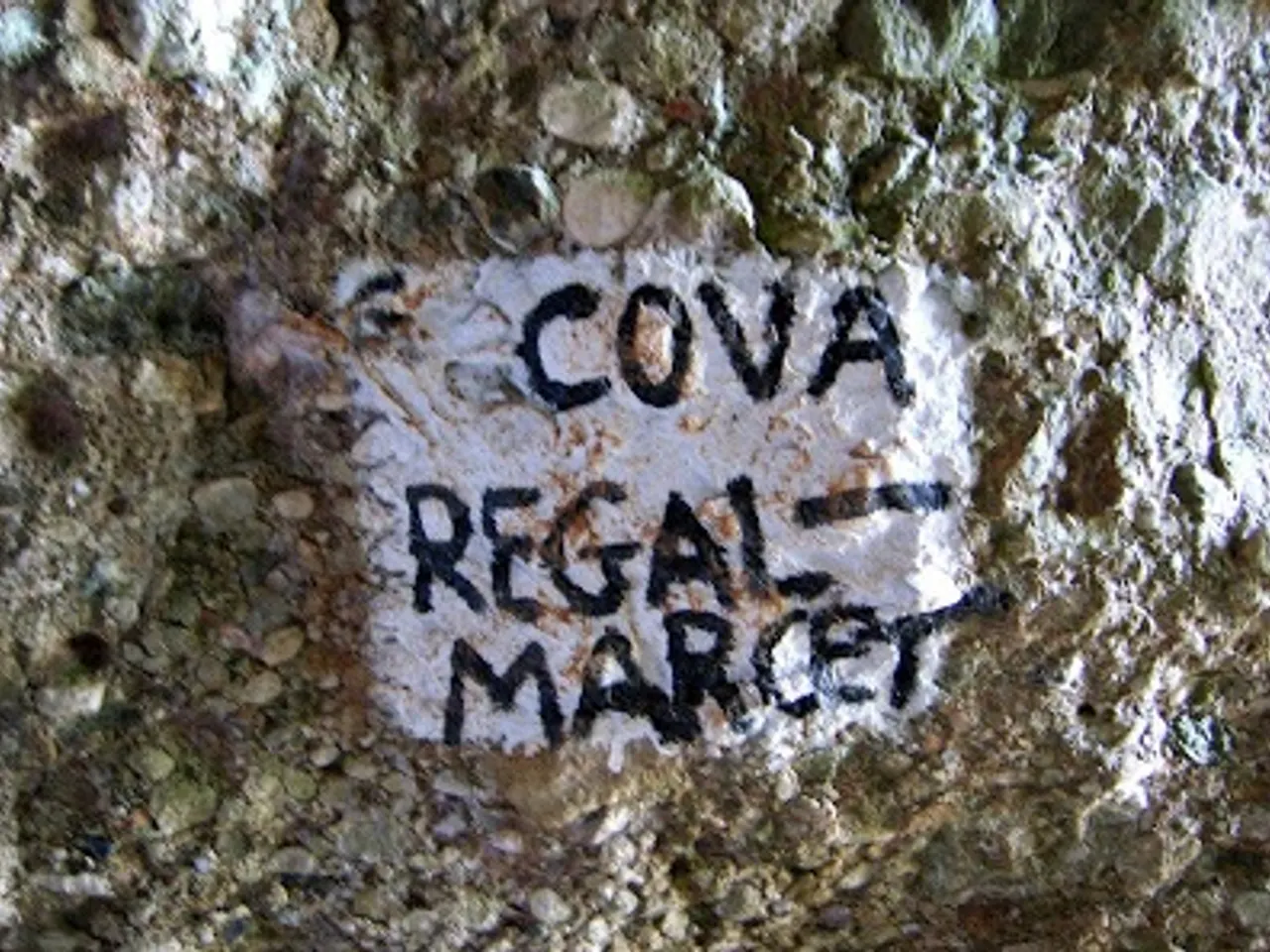 Fotografía de REGAL-MARCET, COVA