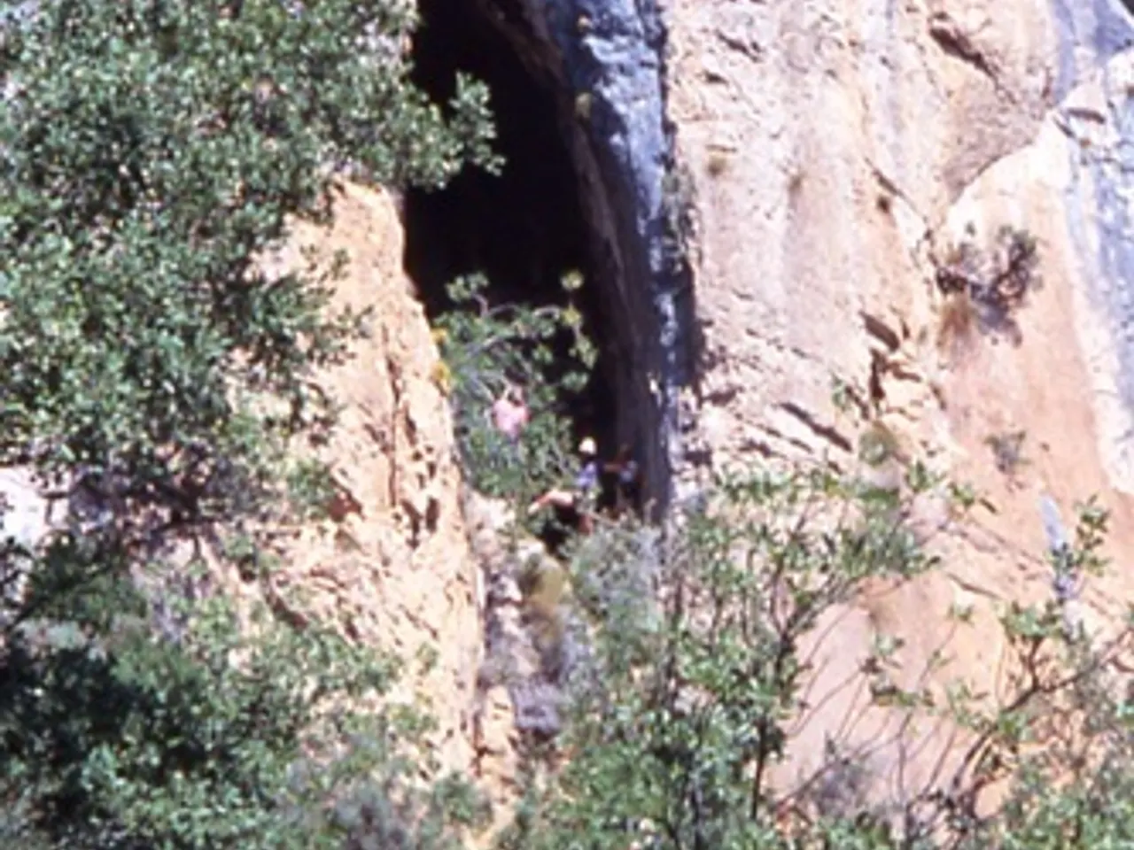 Fotografia de NEGRA DE CORÇÀ, COVA