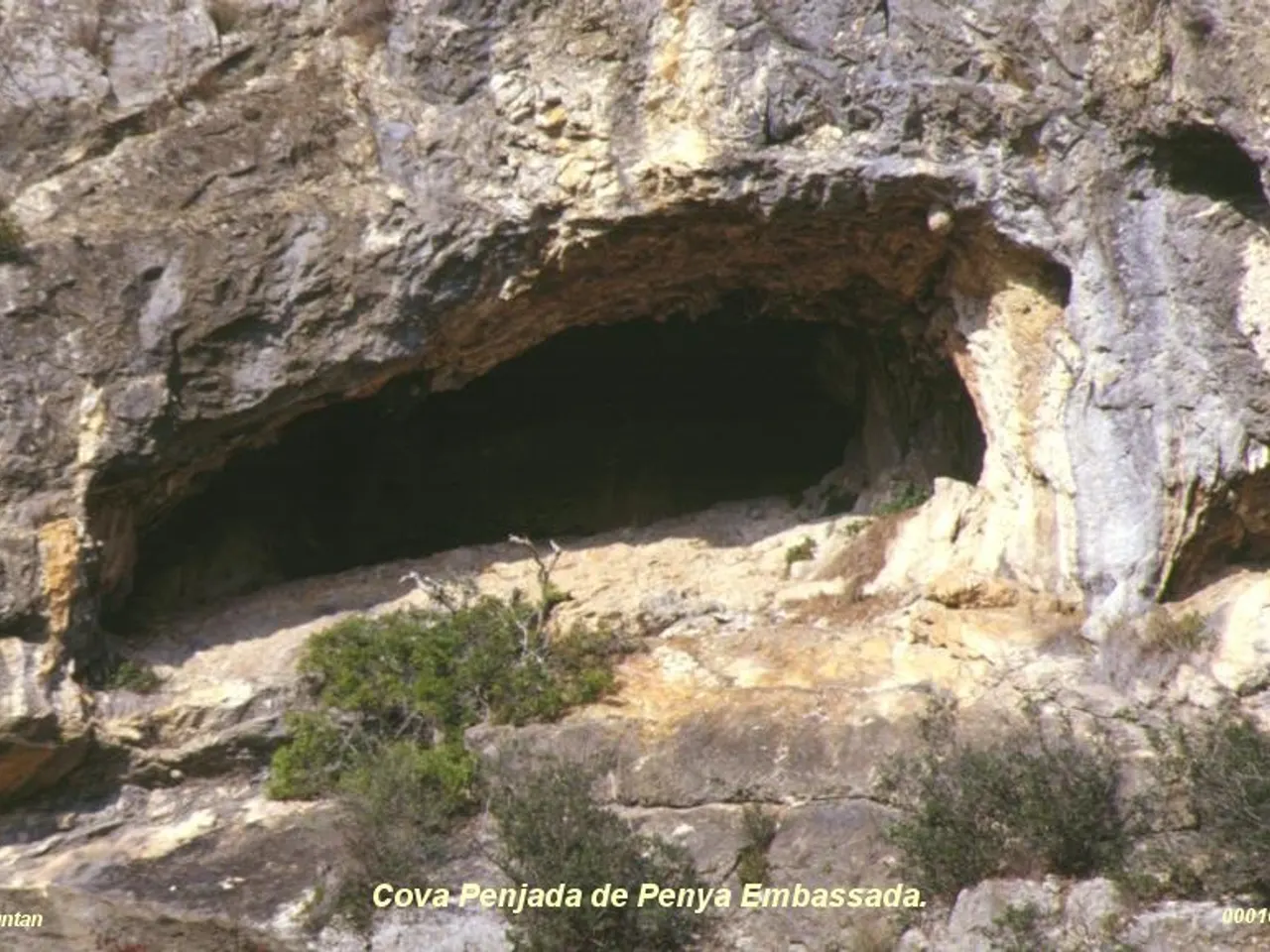Fotografía de PENJADA DE PENYA EMBASSADA, COVA