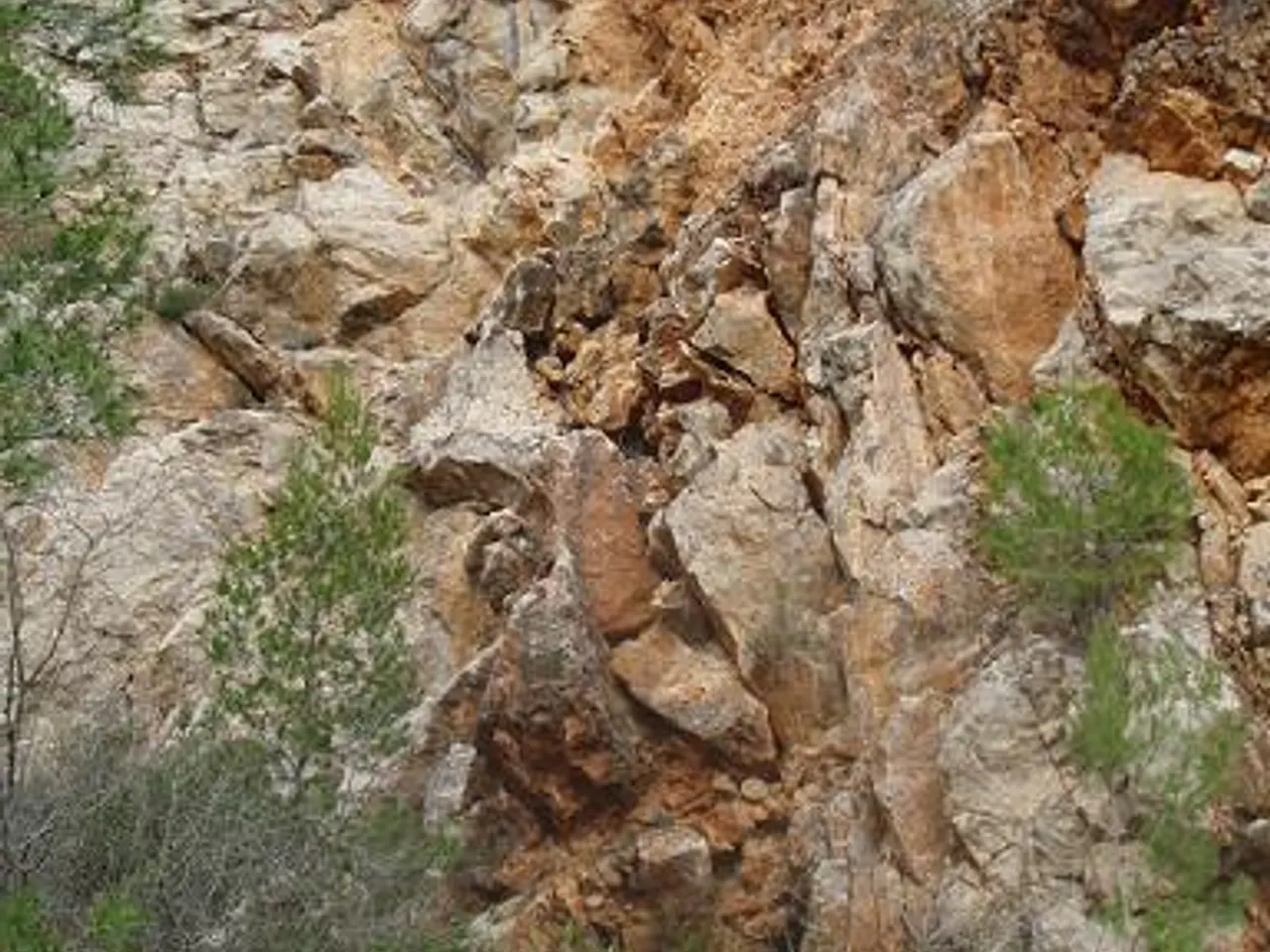 Photograph of MATA, ESCLETXA DE LA