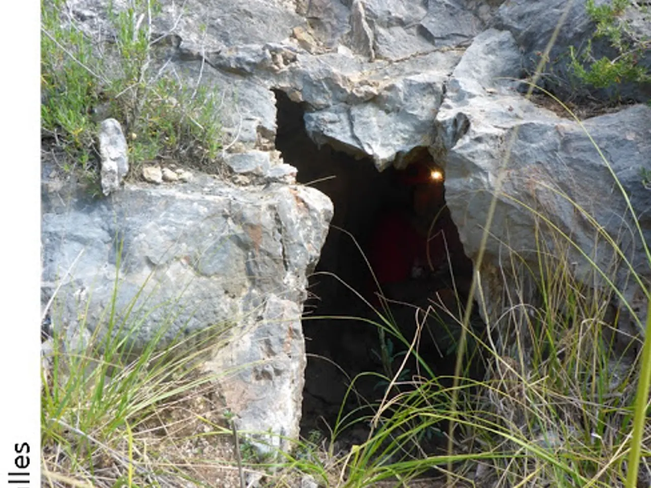 Fotografía de VALL DEL TEIX, COVA DE LA