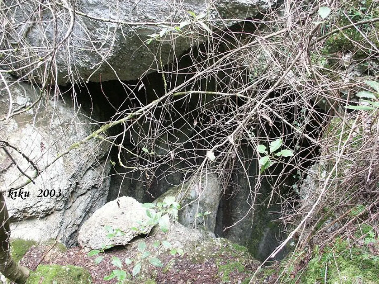 Fotografia de TAVERNA, COVA DE LA
