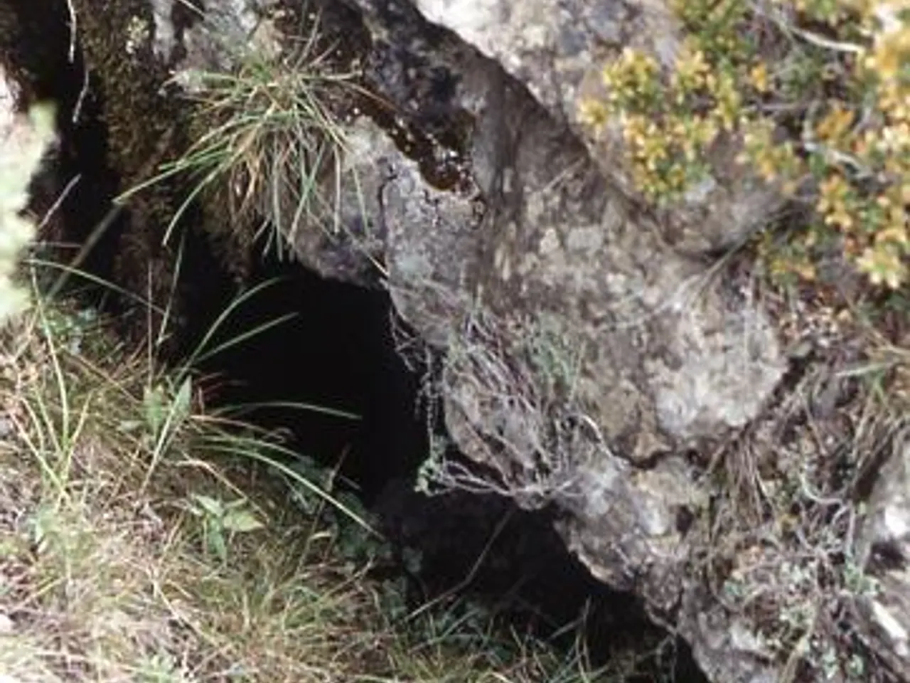 Fotografia de PITARELL,  AVENC DEL