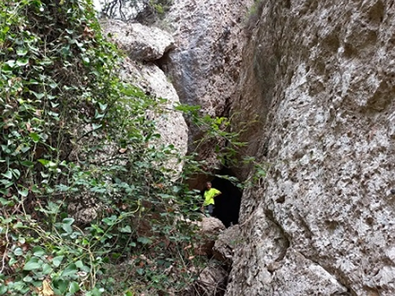 Fotografía de PONT, COVA DEL