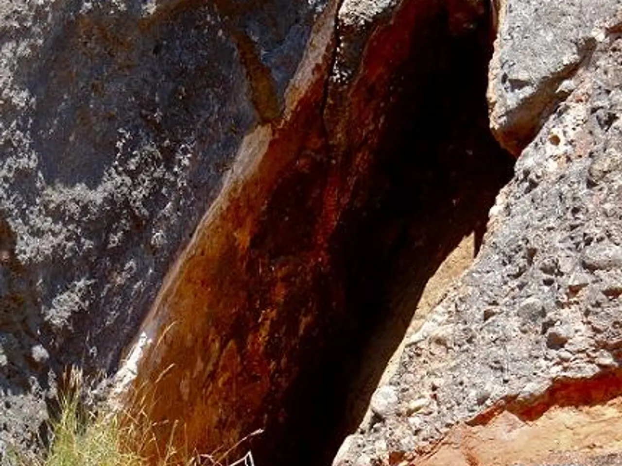 Photographie de BOSC DE LES PARETS, COVA DEL