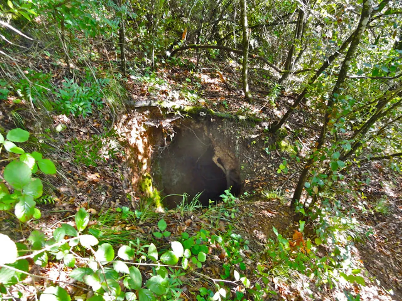 Fotografia de RIERA SECA, AVENC DE LA