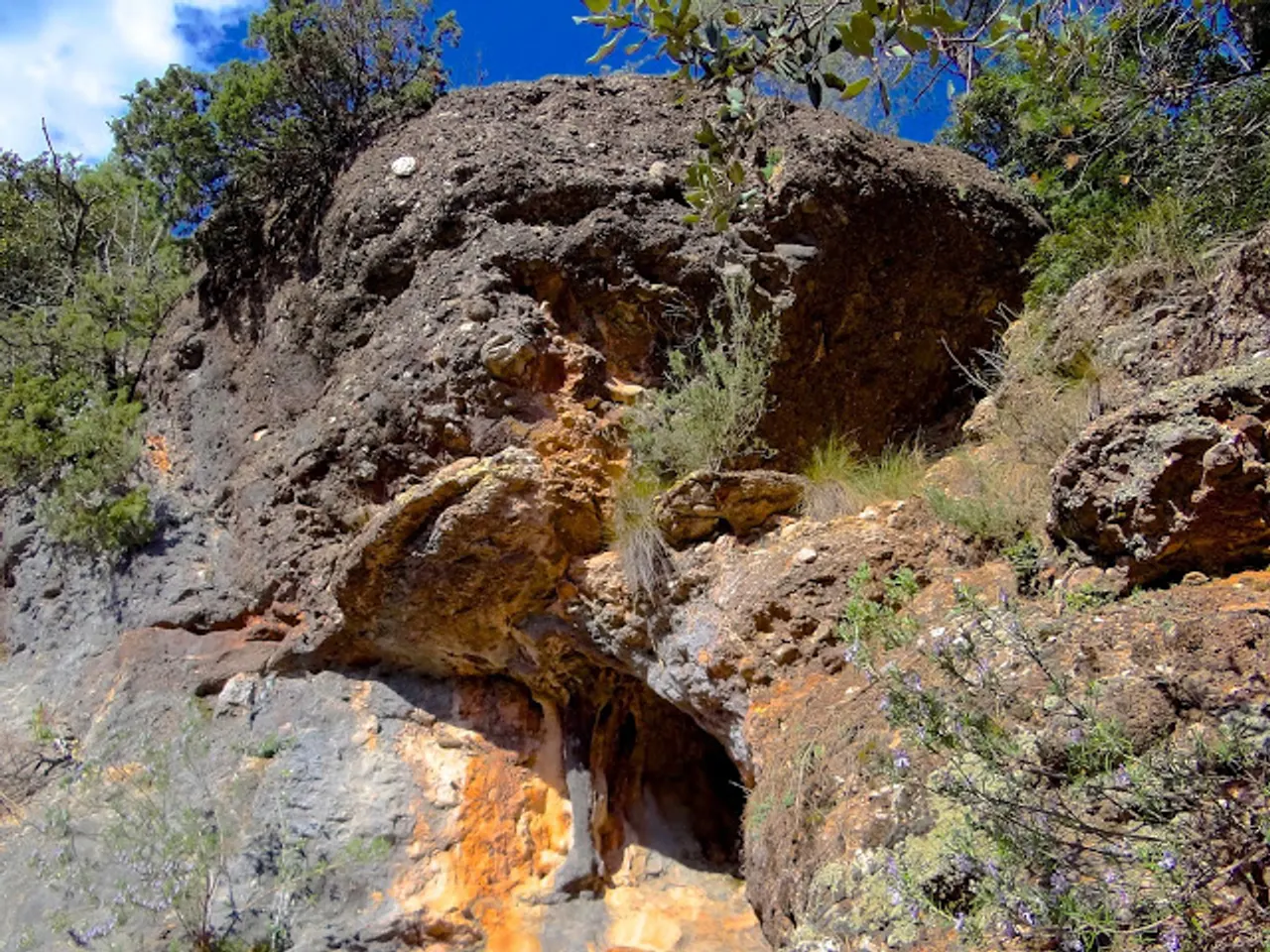 Fotografia de SALT, COVA DEL