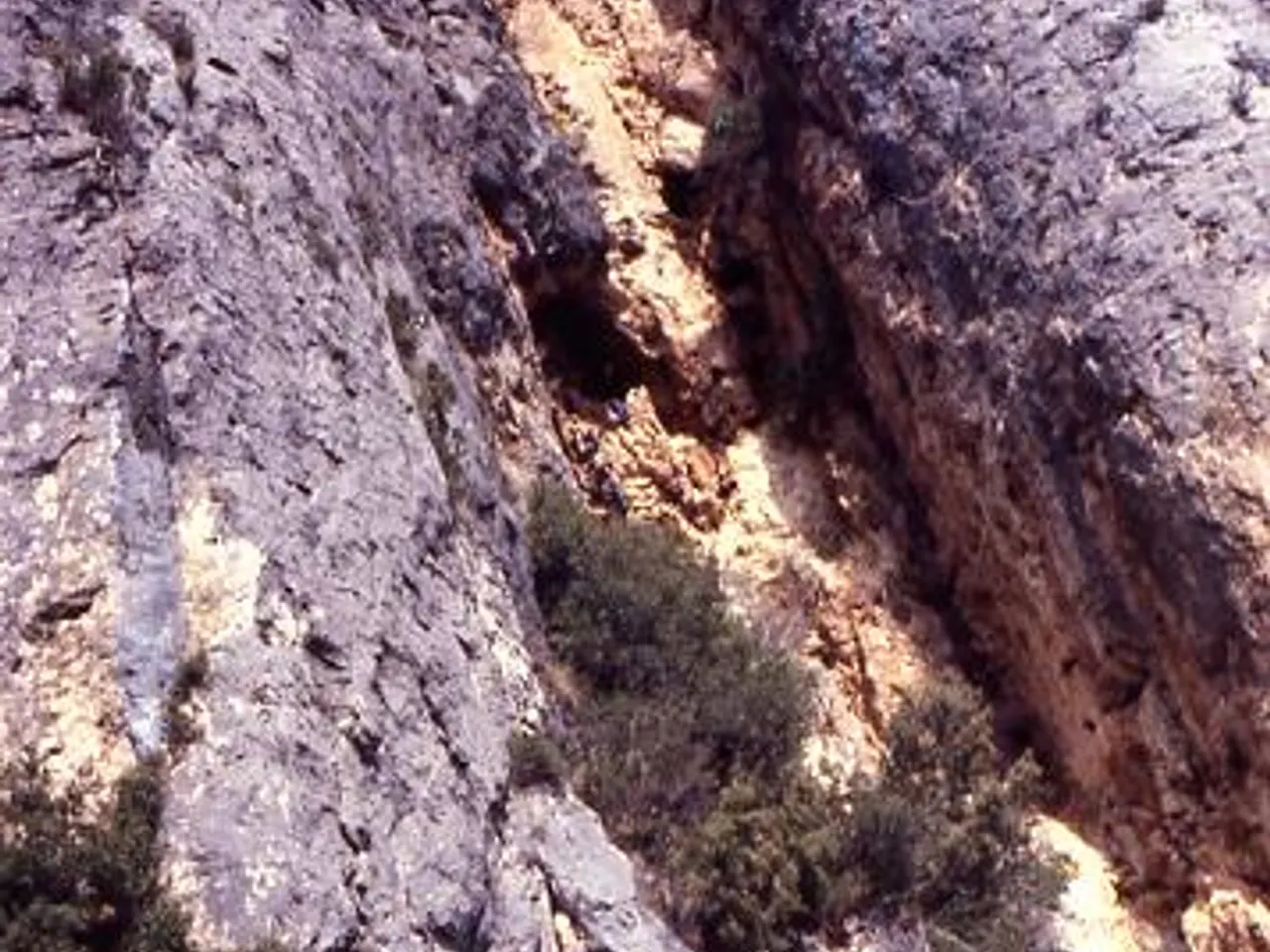 Fotografia de ESCALETA, COVA DE L'