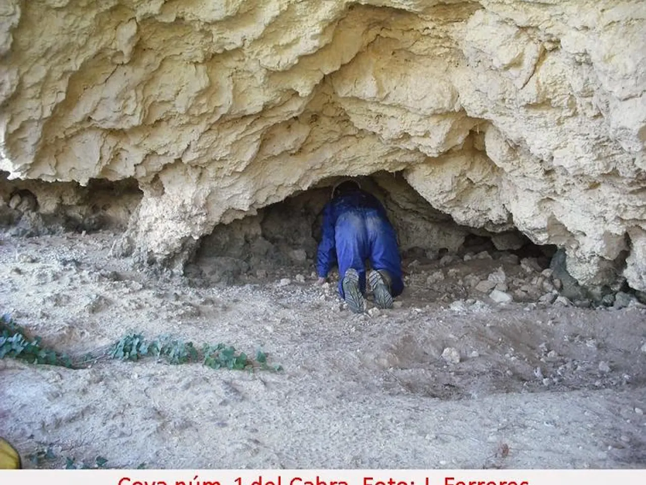 Fotografía de CABRA, COVA Nº1 DEL