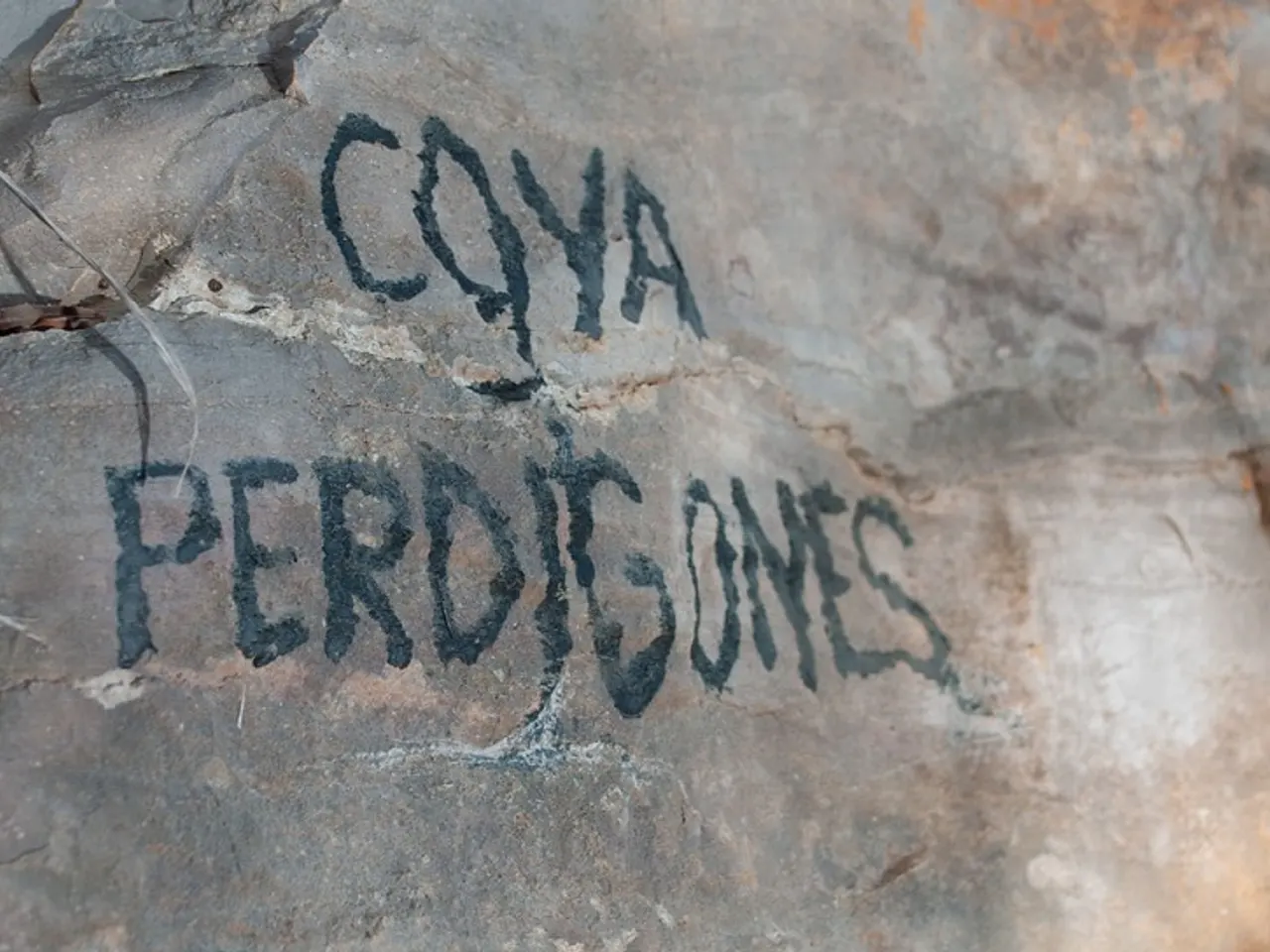 Fotografia de PERDIGONES, COVA DE