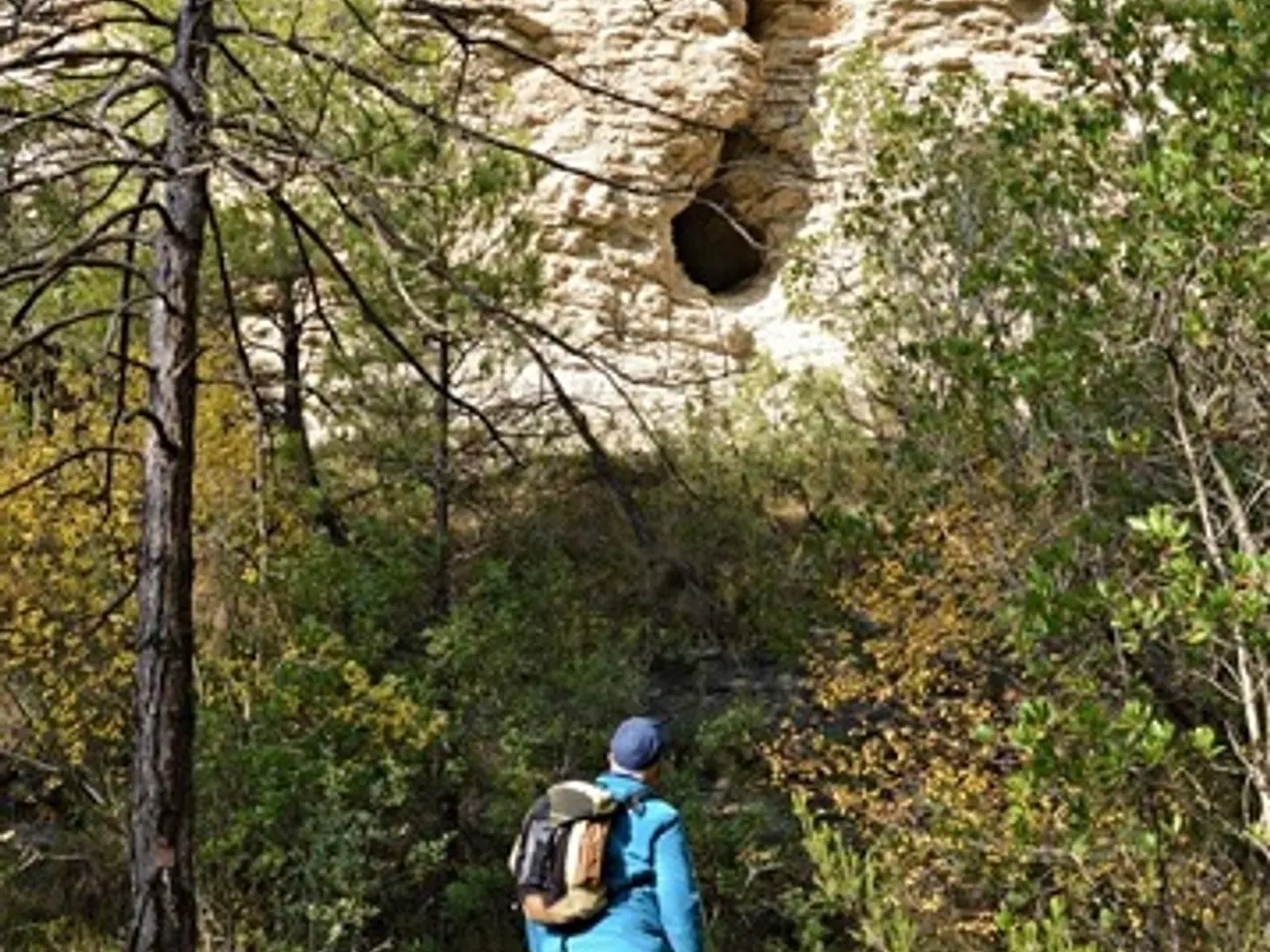 Photograph of COLLJOVA, FORAT DE