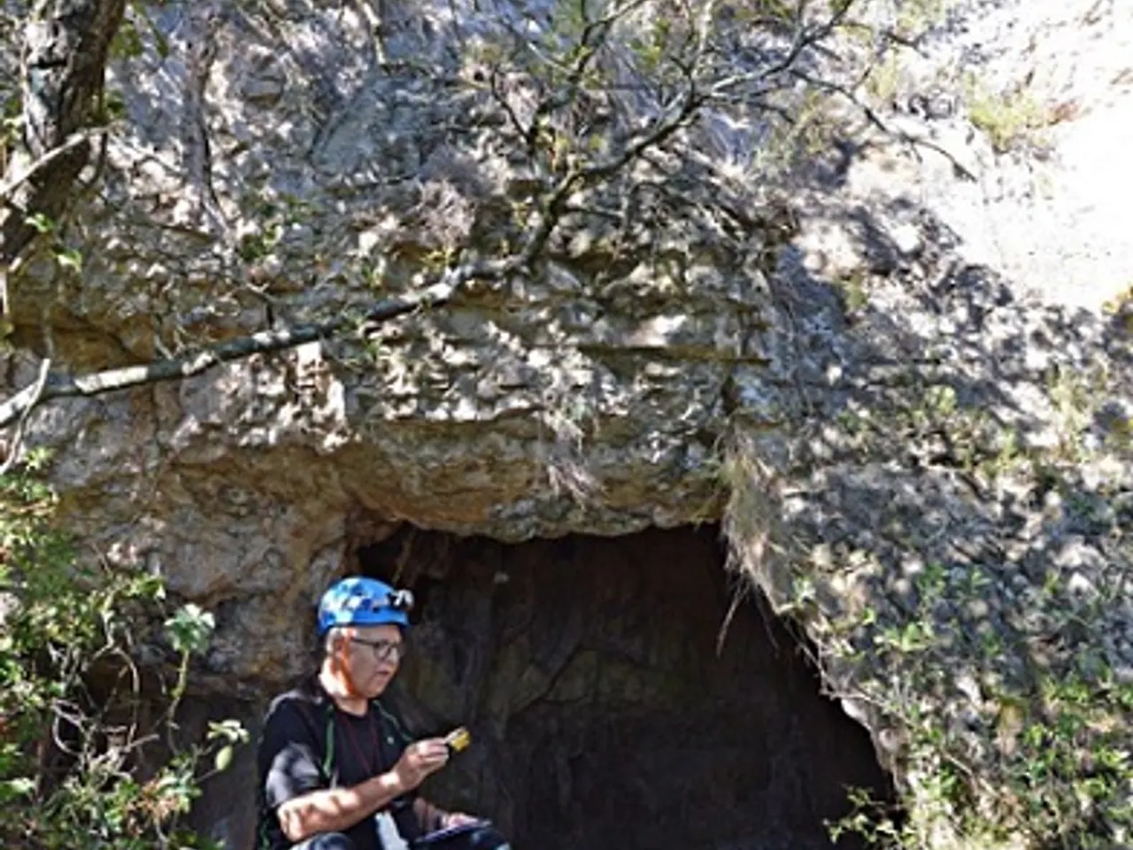 Fotografia de PLANA DE LA PINEDA, COVA DE LA