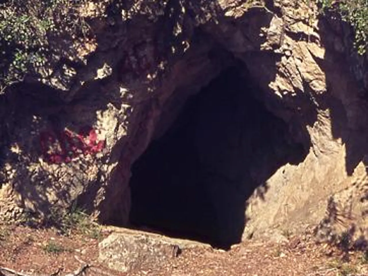 Fotografía de PLA DE COMES,  COVA - AVENC DEL