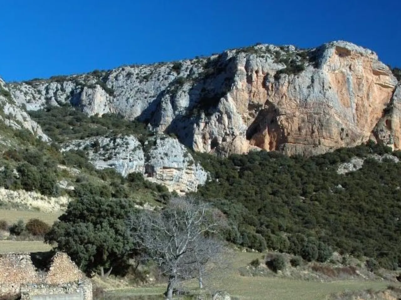 Photographie de MONGES, COVA DE LES