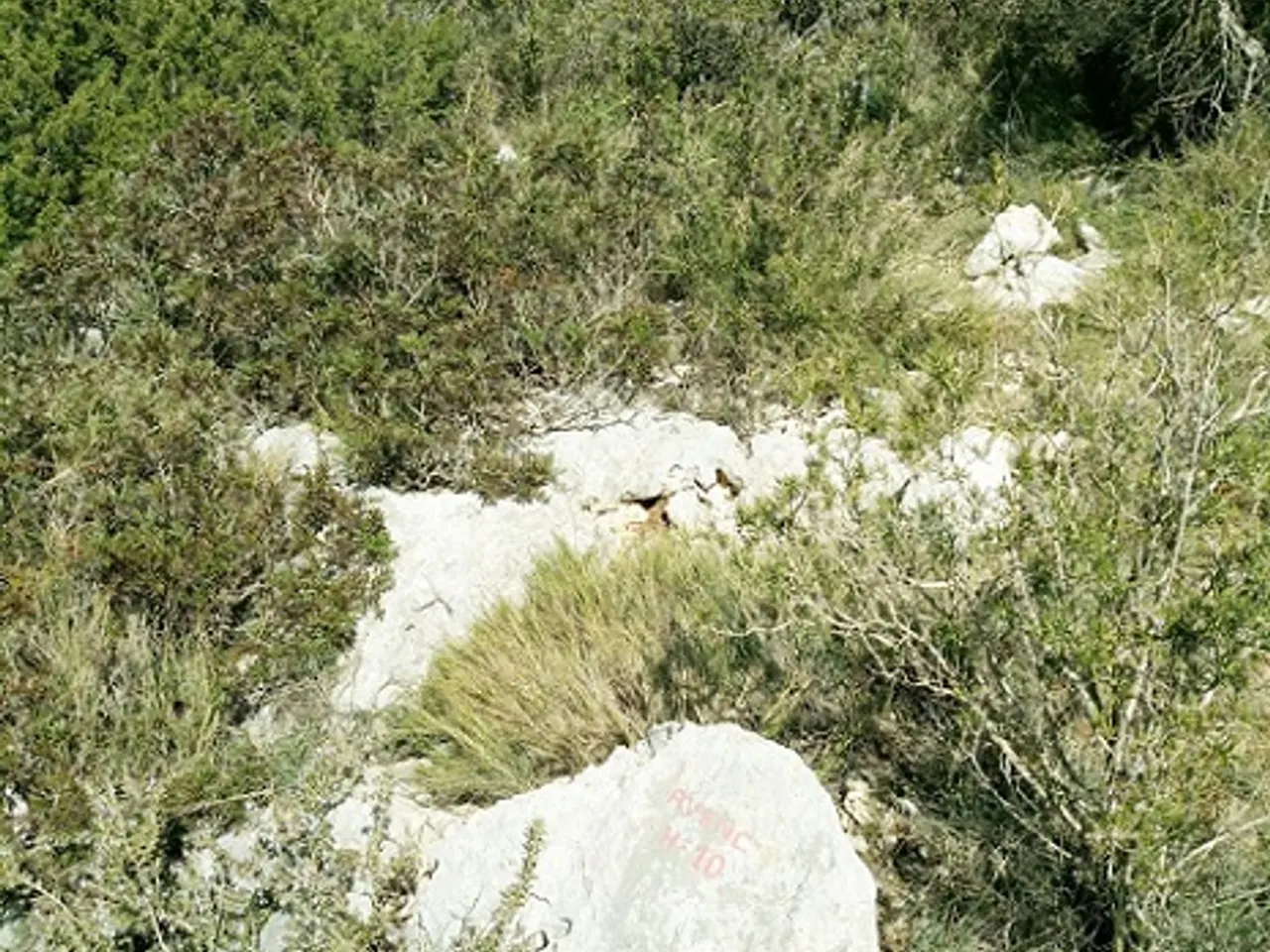 Fotografía de PLA DE SOTS, AVENC DEL