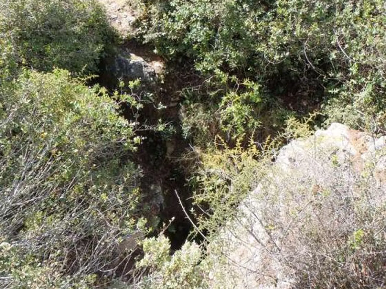 Fotografía de TOSSAL GROS, CAU DEL