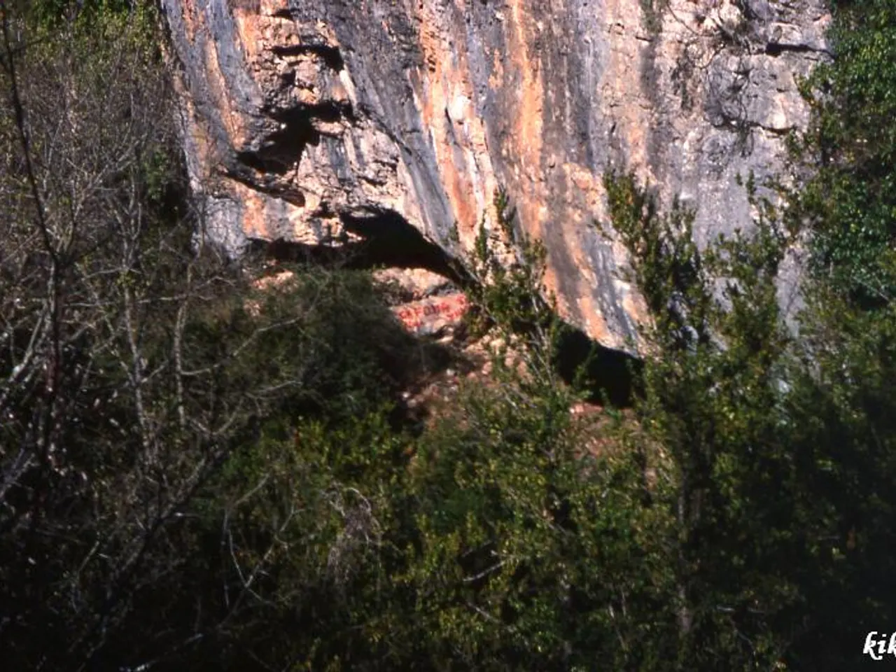 Fotografia de MANDRIL,  COVA DEL