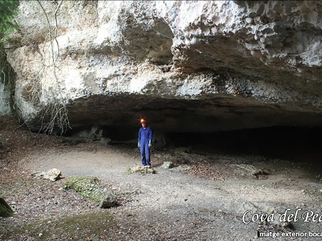 Photograph of PEDRET, COVA DEL