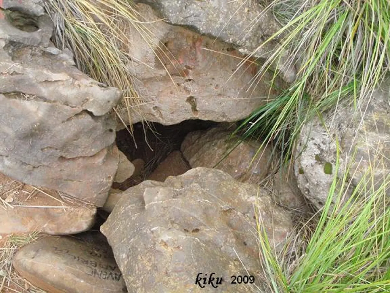 Photograph of LLAMBRICS, AVENC DELS
