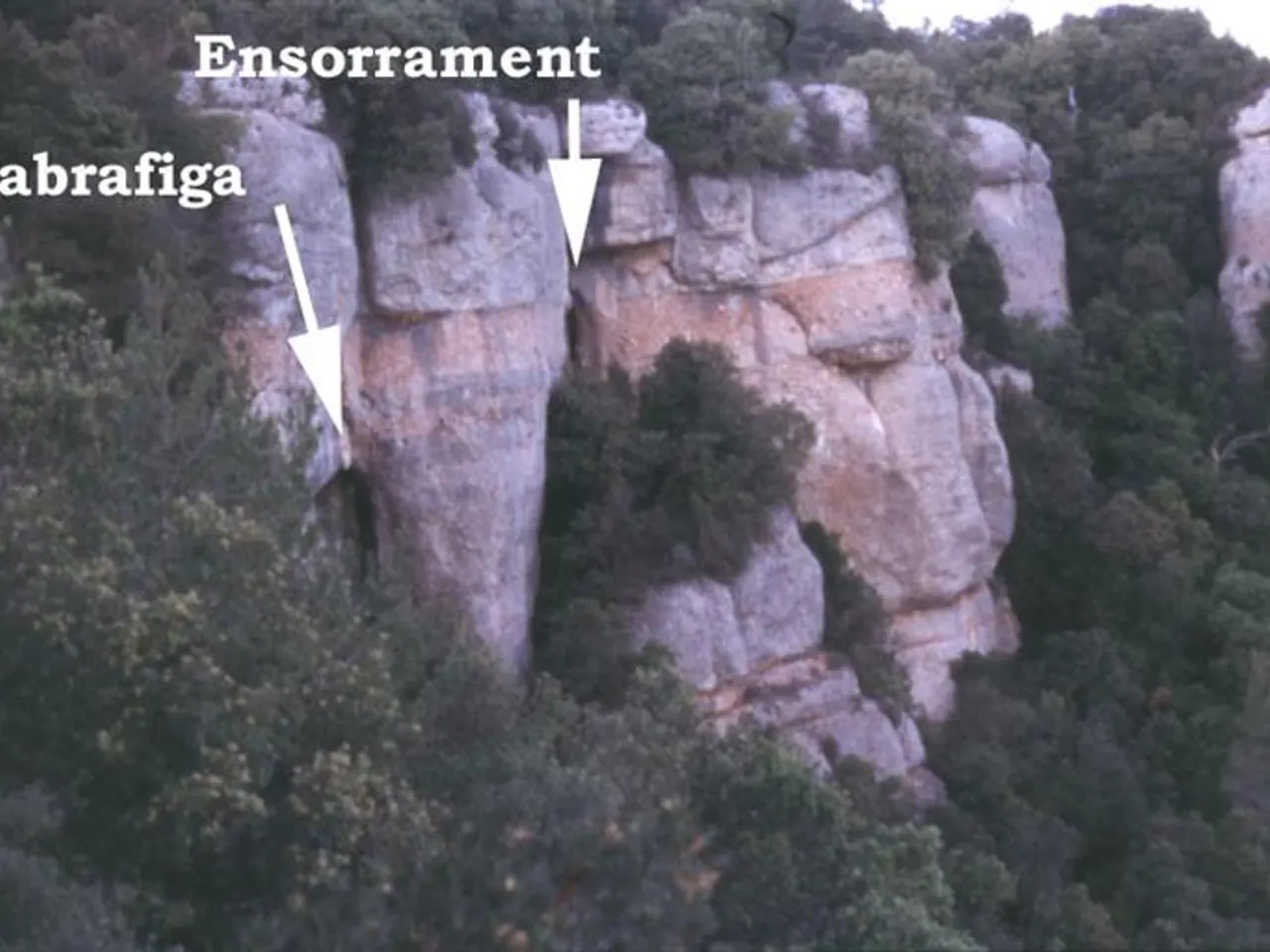 Photograph of ENSORRAMENT, COVA DE L'