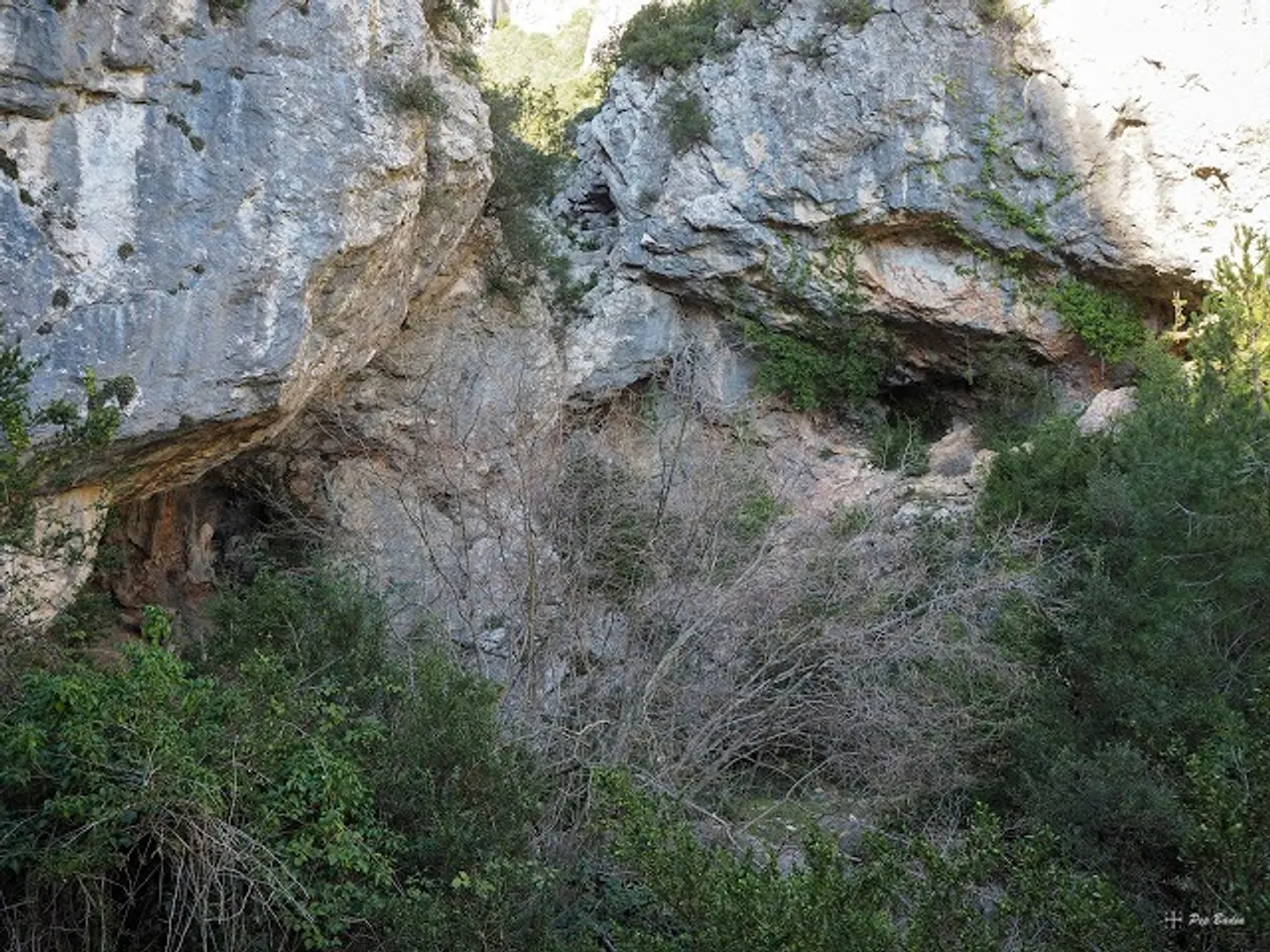 Photographie de PINTADA D'ALFARA, COVA