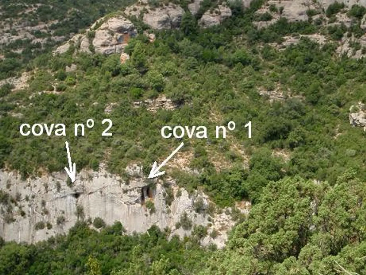 Photograph of FONT FREDA, COVA Nº2 DE LA