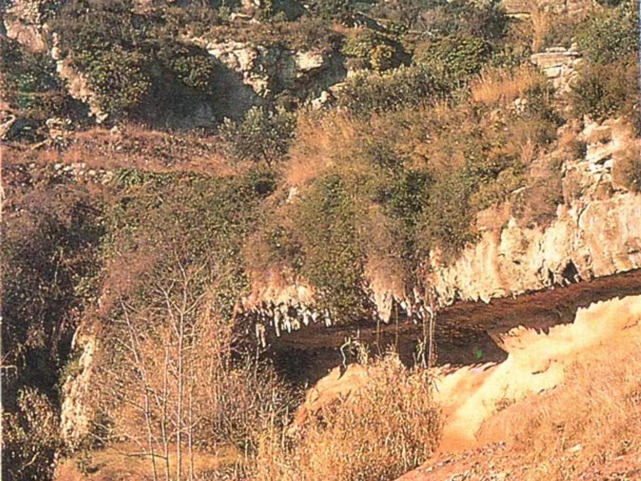 Fotografia de CA, BALMA DEL