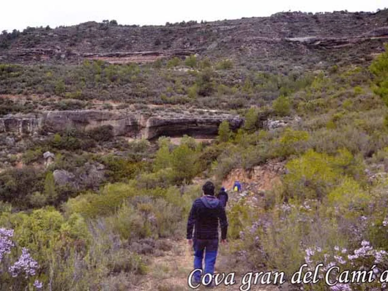 Fotografia de CAMÍ DEL MOLÍ, COVA GRAN DEL