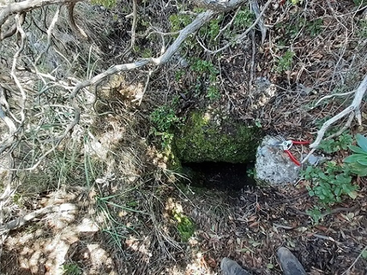 Fotografia de ARBOÇAR, AVENC DE L'
