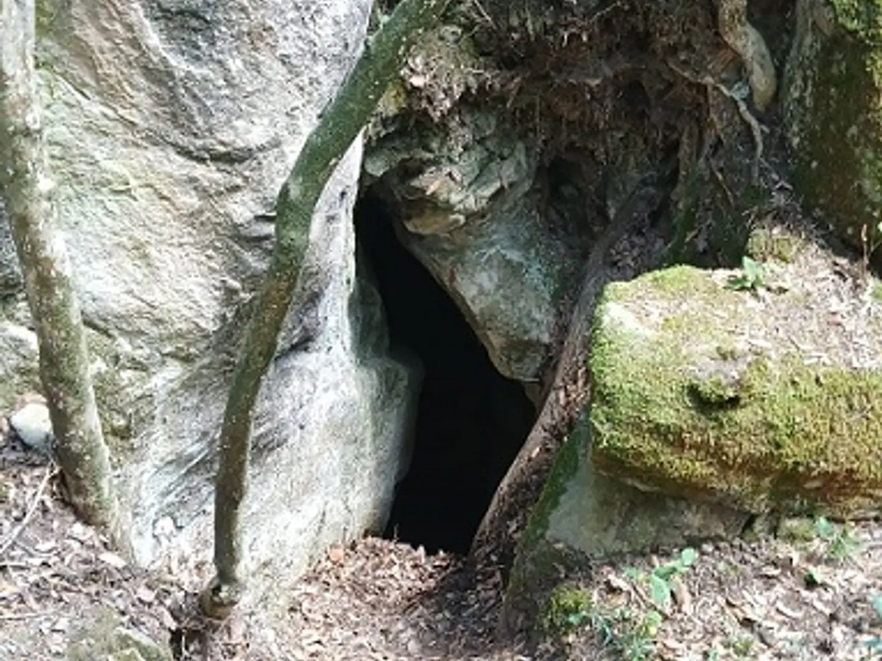 Photograph of CASTELL DE BOIXADER, FORAT DEL