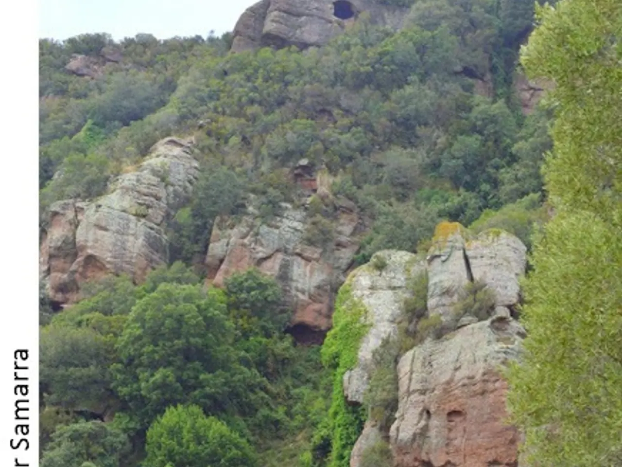 Photograph of MARE DE DÉU DE BRUGUERS, COVA DE LA