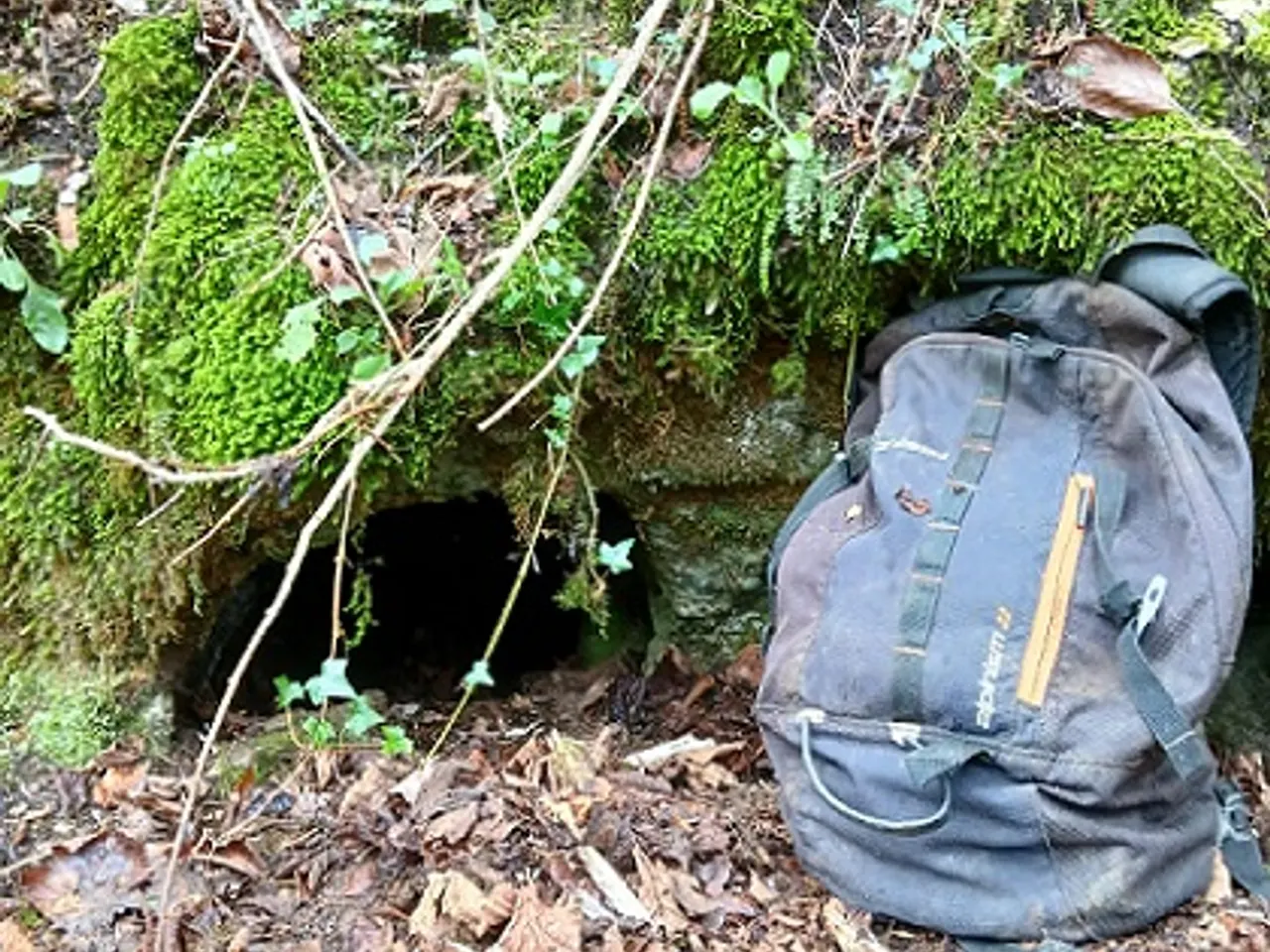 Fotografia de MEANDRE, COVA DEL 