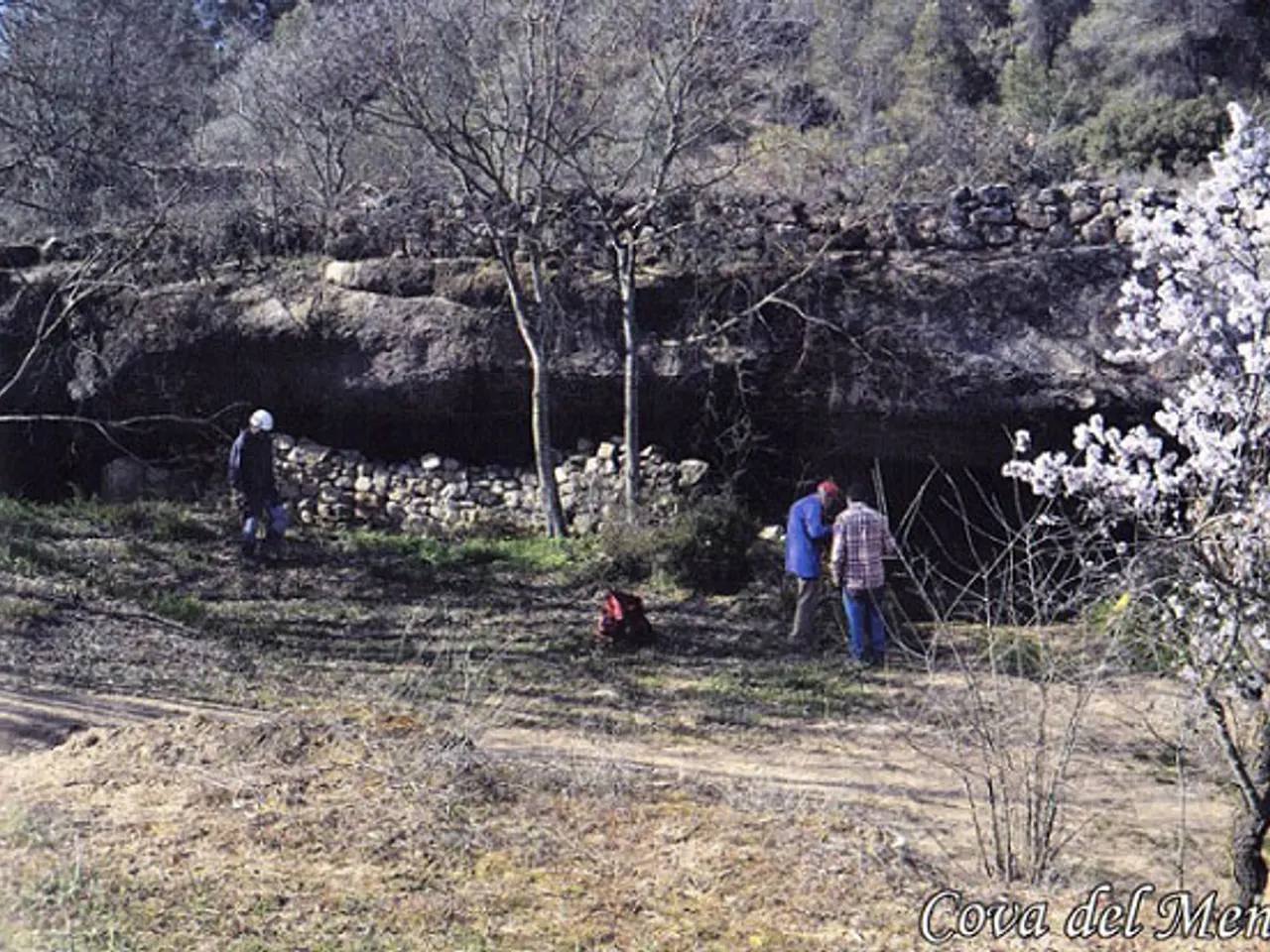 Fotografia de MENOTX, COVA DEL
