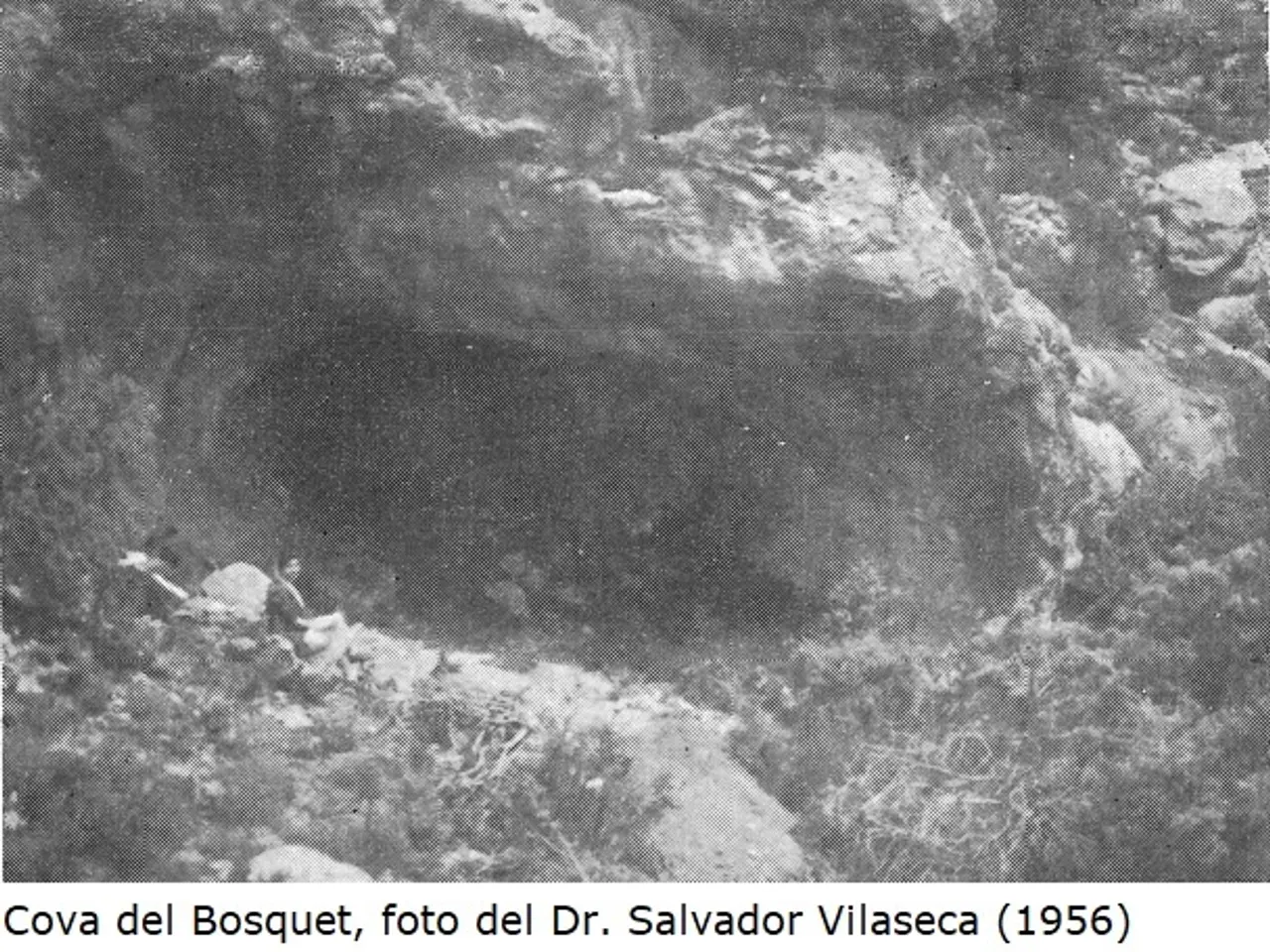 Photograph of BOSQUET, COVA DEL