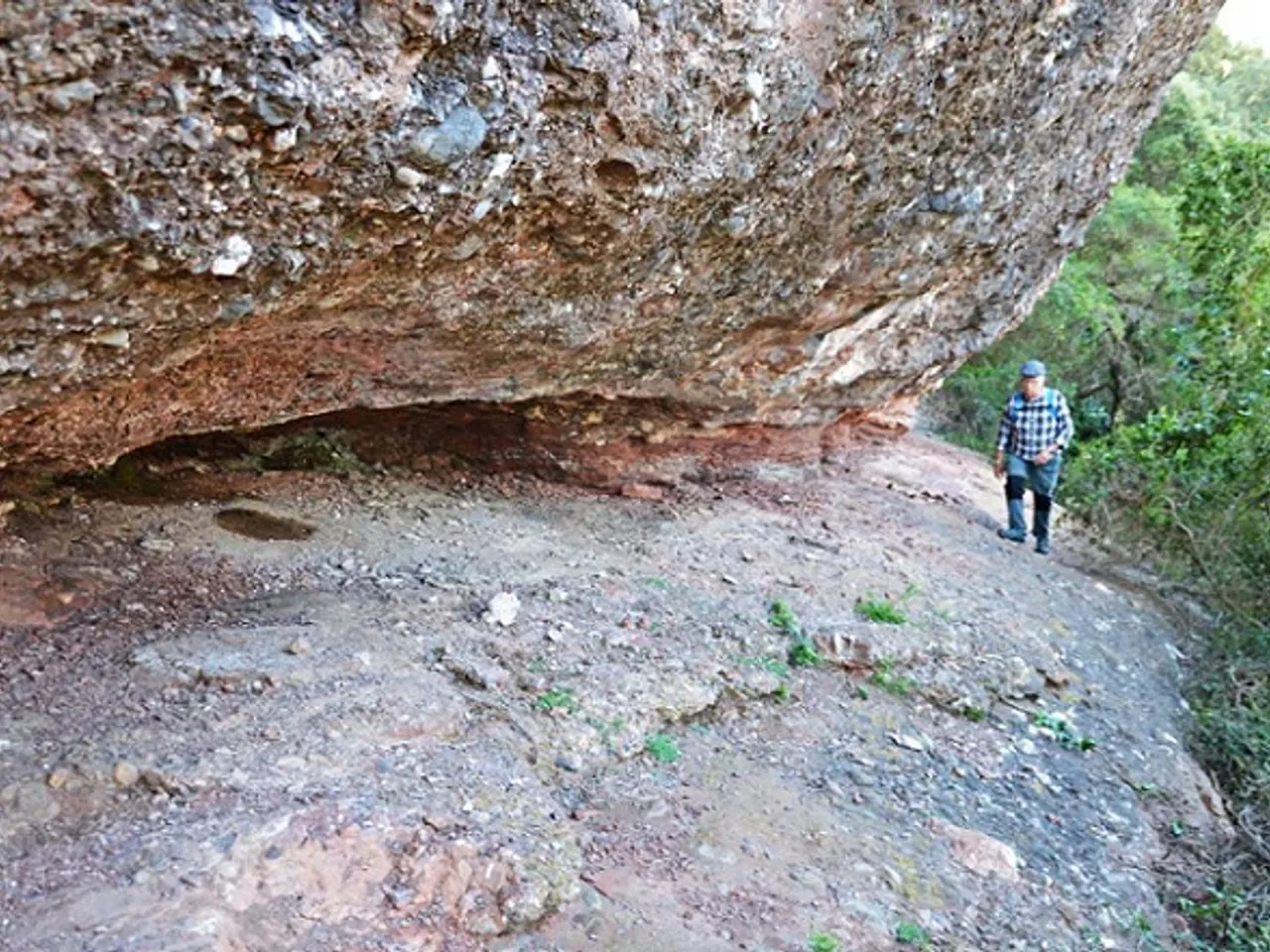 Fotografía de COLL DE LA GRUA, BALMES DEL