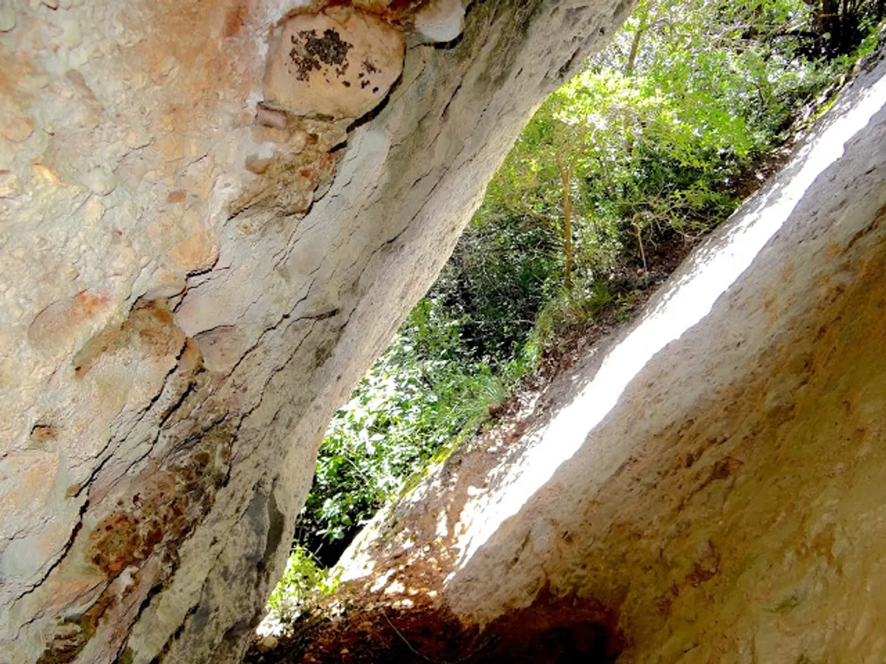 Photographie de FONT FREDA, COVA GRAN DE LA