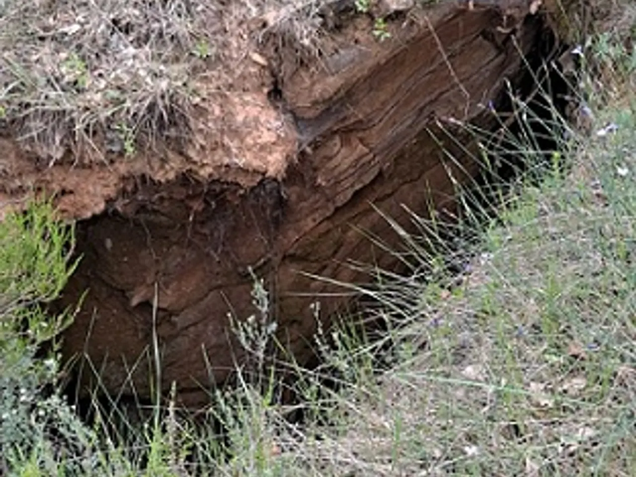 Photograph of SANT MARTÍ, AVENC DE