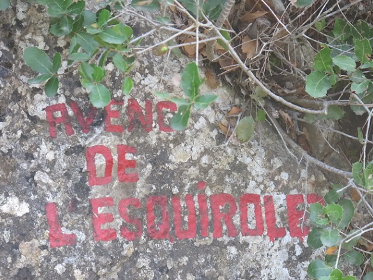 Fotografía de ESQUIROLET, AVENC DE L'