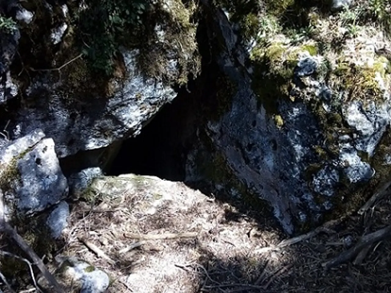 Fotografía de DOLINA BUFADORA, COVA DE LA