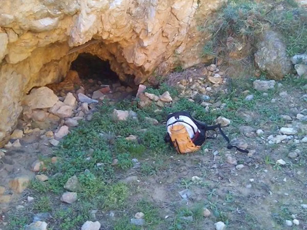 Fotografía de PELL D'OVELLA, COVA DE LA