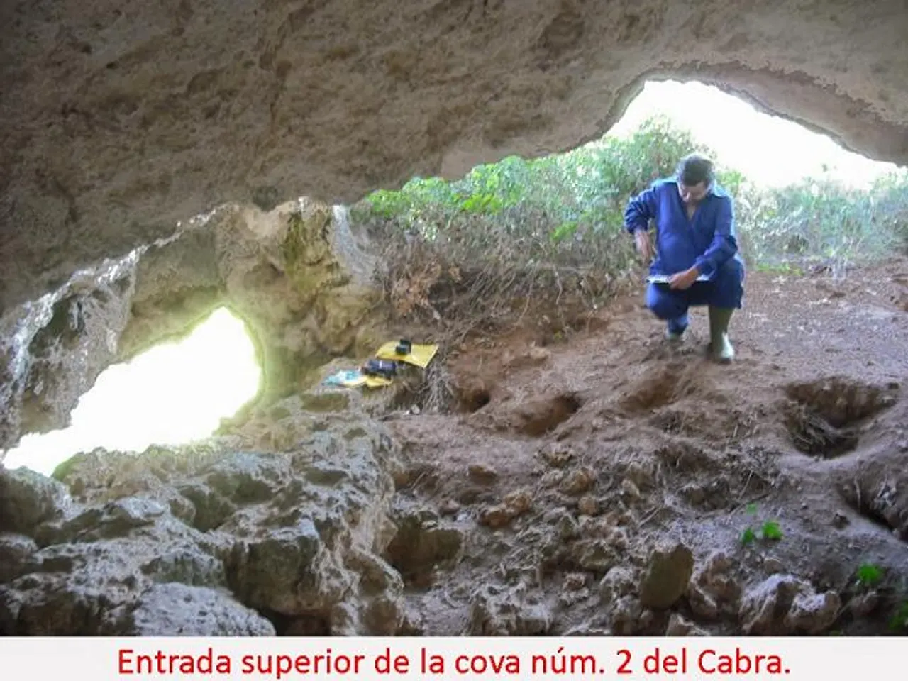 Fotografia de CABRA, COVA Nº2 DEL