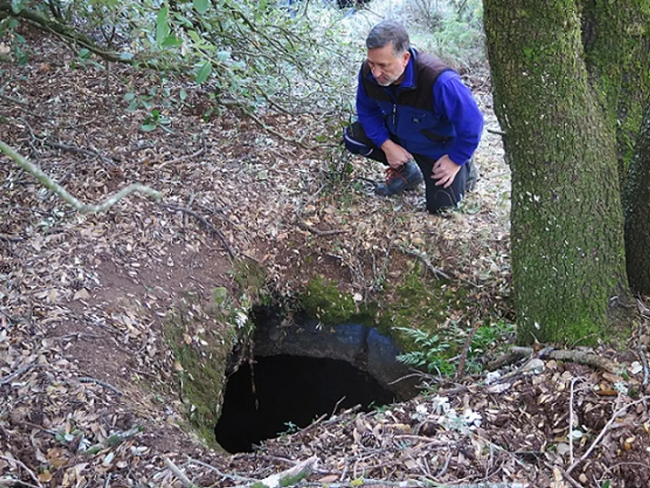Fotografía de COLL D'ALZINA, POU DEL