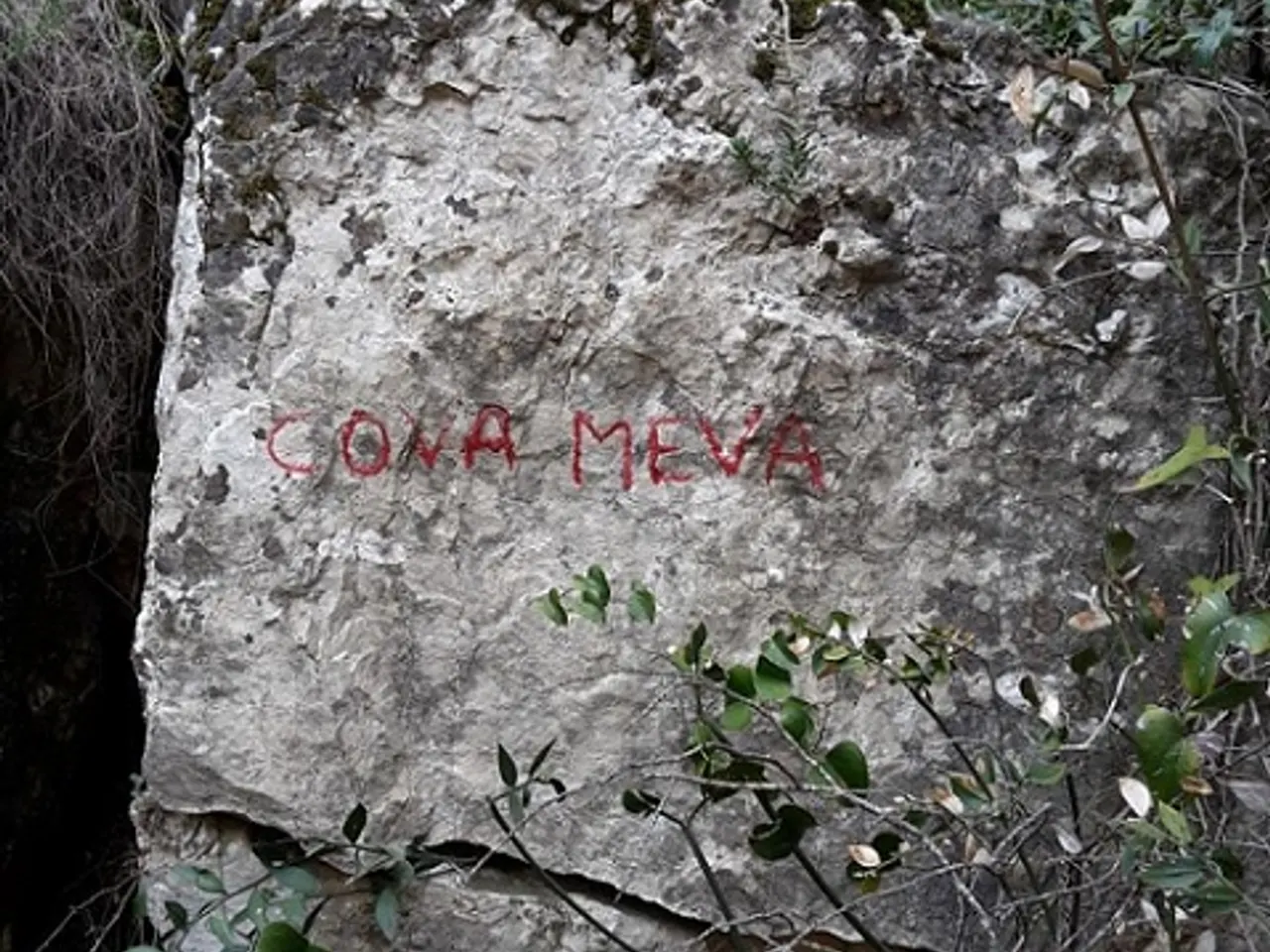 Fotografía de ROVIRES Nº 2, ESCLETXA DE LES