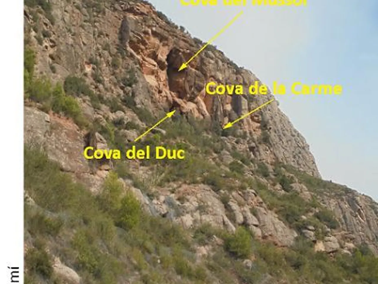 Photograph of DUCS, COVA DELS