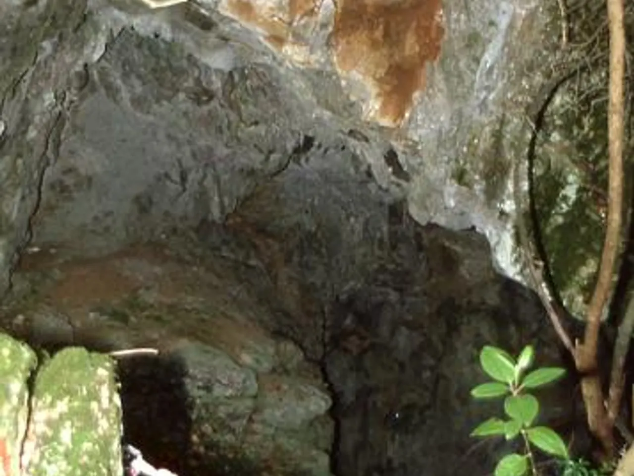 Fotografía de GARRIGAL,  AVENC D'EN