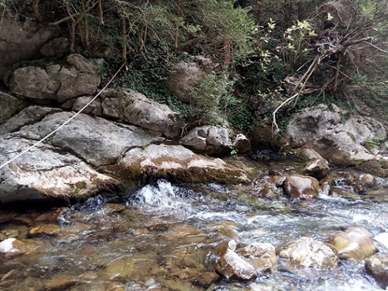 Photograph of SANT ESTEVE, BULLIDOR DE