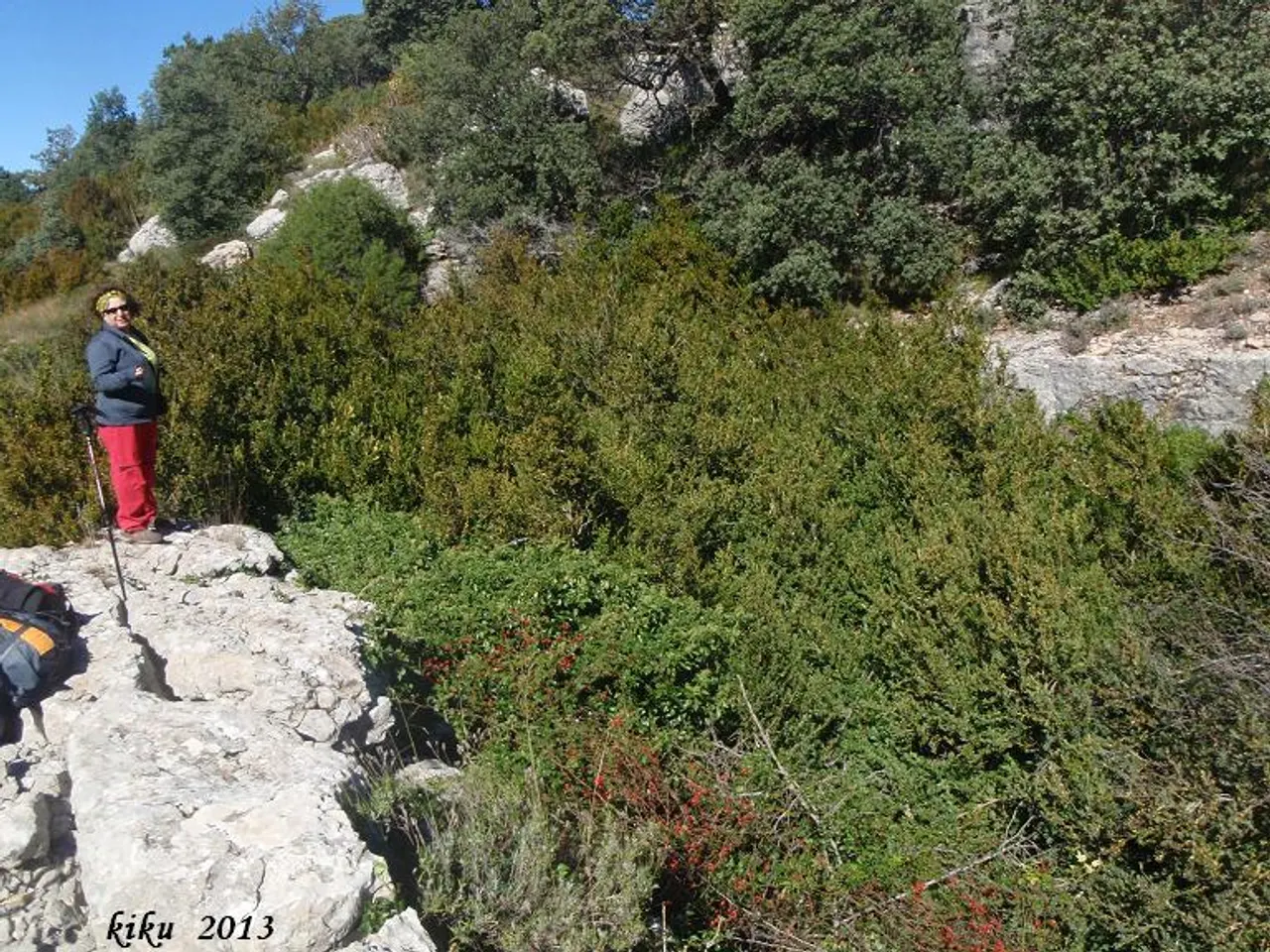 Fotografia de GAVARRERA, AVENC DE LA