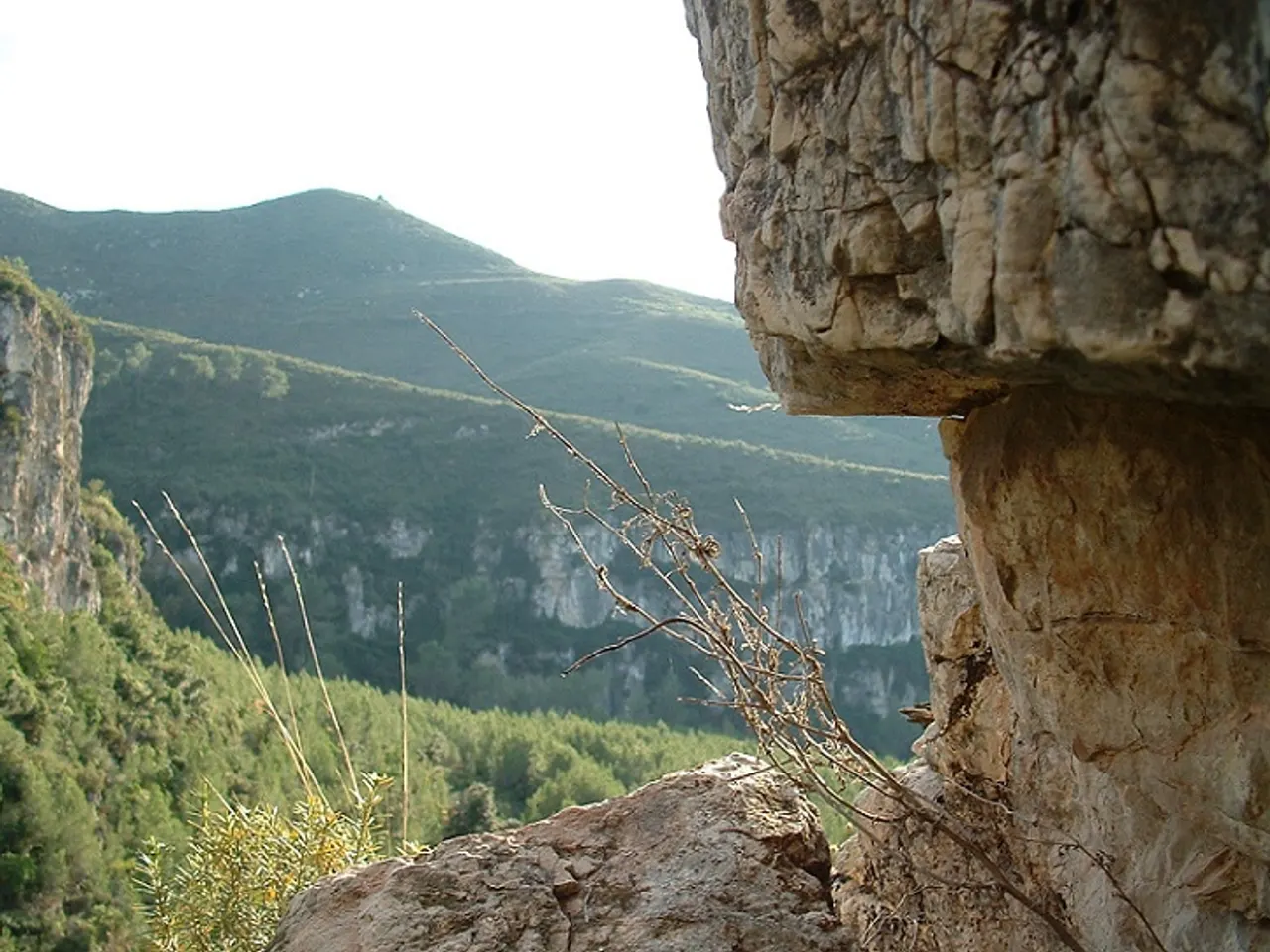 Fotografía de TORRENT DE SANT MIQUEL, ESQUERDA DEL