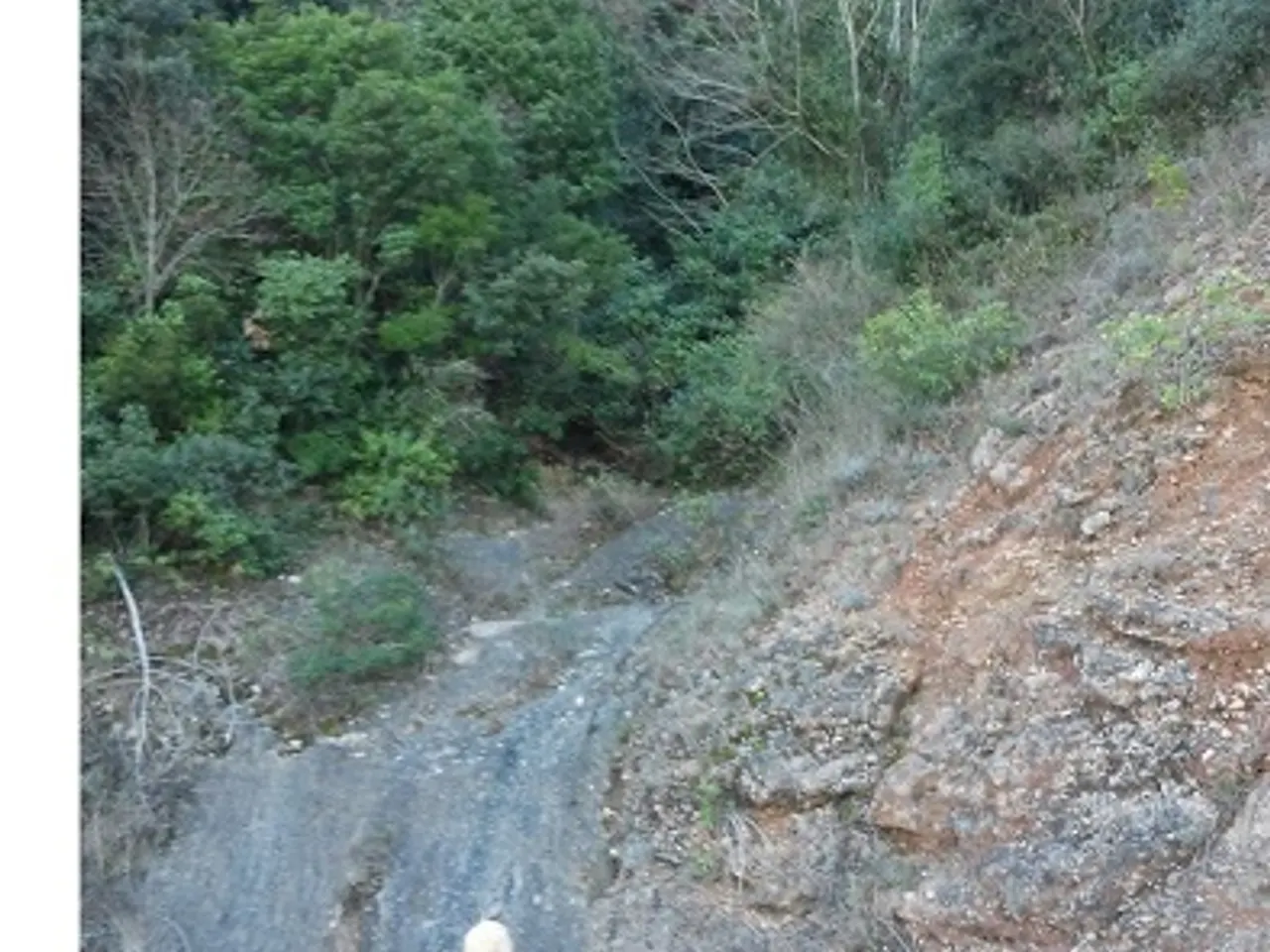 Fotografia de LLADRES, COVA DELS